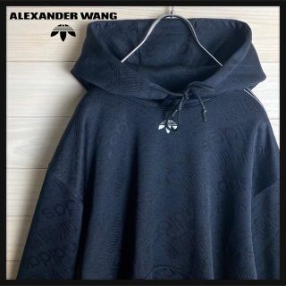 アレキサンダーワン(Alexander Wang)の【希少XLサイズ】アレキサンダーワン☆両面刺繍ロゴ入り総柄パーカー 入手困難(パーカー)