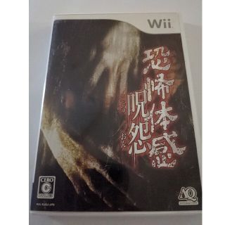 ウィー(Wii)の【完動品】Wii 恐怖体感 呪怨(携帯用ゲームソフト)