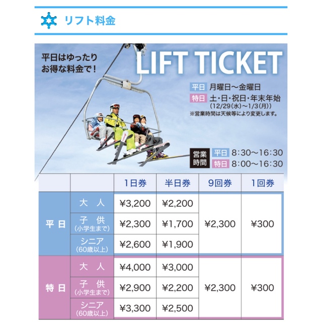 飛騨ほおのき平スキー場　2枚セット　リフト一日券　引換券