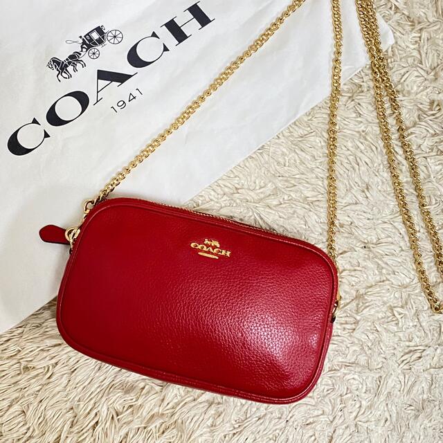 COACH - ドンキちゃん　産後のためプロフ確認！