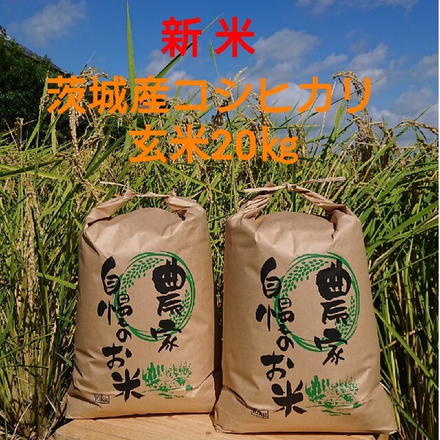 茨城令和3年産新米コシヒカリ玄米20㎏　米/穀物