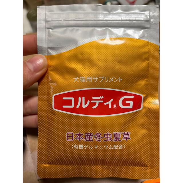 コルディ　G 30g