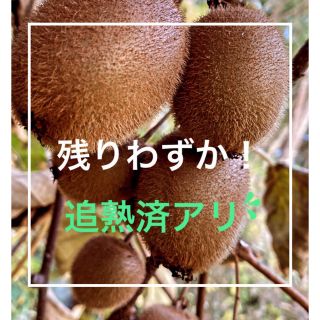 数量限定  完全無農薬 キウイフルーツ 岡山県産 約１ｋｇ（約13玉入）(フルーツ)