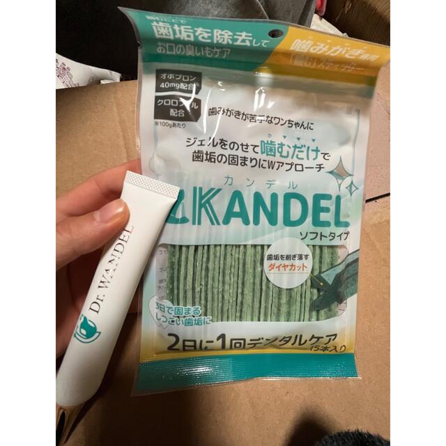 KANDEL カンデル　WANDEL ワンデル