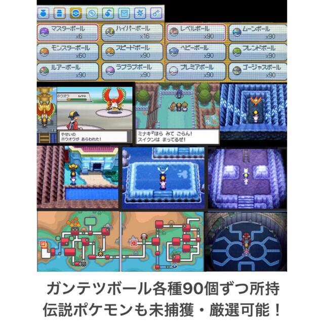 厳選個体あり】ソウルシルバー tX2xeJrr0S - godawaripowerispat.com