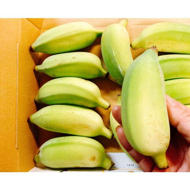 キングオブバナナ! 沖縄最高峰!絶品 ドワーフ ナムワバナナ 1.5