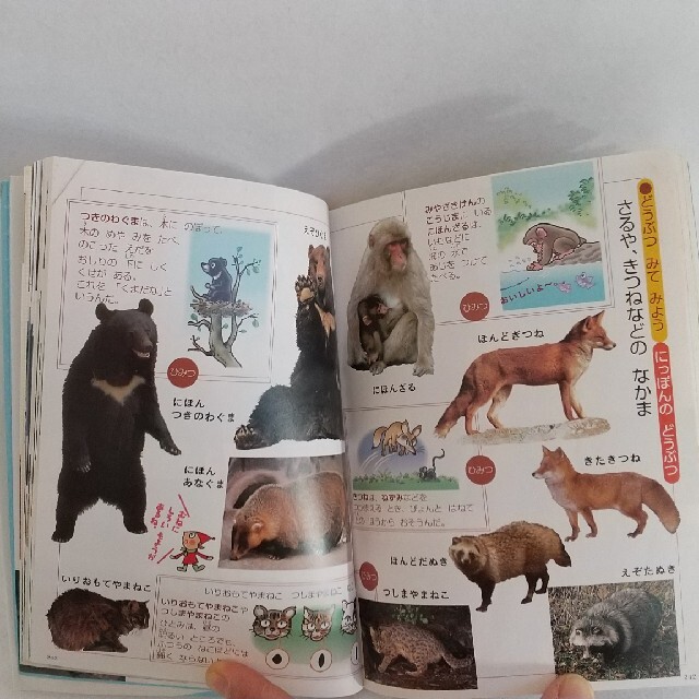 ふれあいこどもずかん春夏秋冬 きせつのしぜん 第2版の通販 by ふれあいこどもずかん春夏秋冬 きせつのしぜん 第2版の通販 by