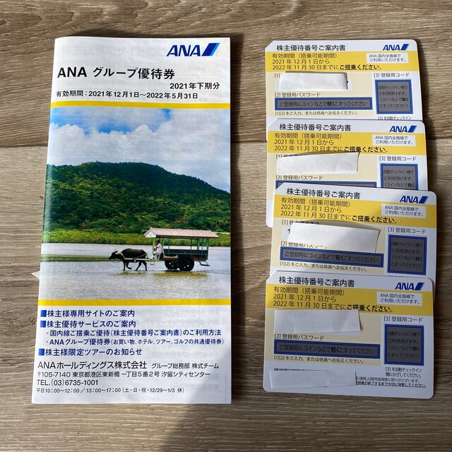 ANA(全日本空輸)(エーエヌエー(ゼンニッポンクウユ))のANA グループ優待券 チケットの優待券/割引券(ショッピング)の商品写真