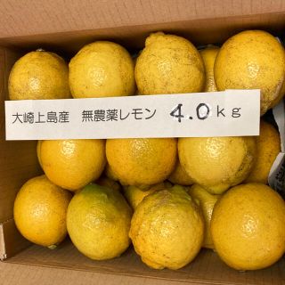 広島県大崎上島産無農薬レモン4.0kg(フルーツ)