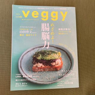 veggy (ベジィ) 2019年 04月号(その他)