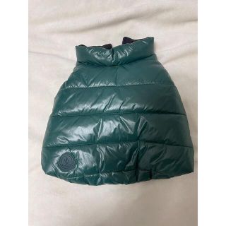 モンクレール(MONCLER)のモンクレール×POLDO コラボ　リバーシブル　ドッグベスト【黒×緑】(犬)