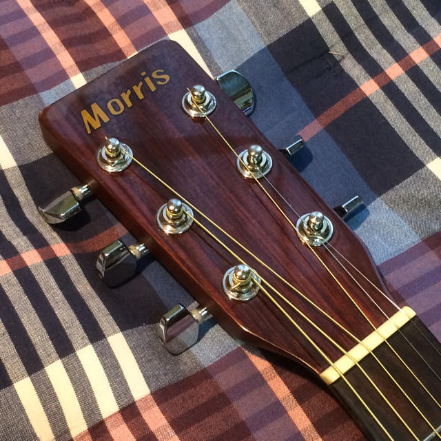 アコギ  Morris MD508 アコースティックギター ★送料無料 楽器のギター(アコースティックギター)の商品写真