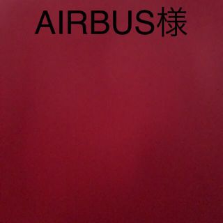 ジェイアール(JR)の*AIRBUS様専用(その他)