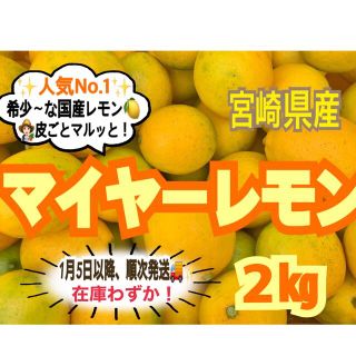 【在庫わずか❣️】マイヤーレモン2㎏/レモン　国産レモン　みかん　果物　きんかん(フルーツ)