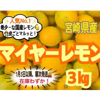 【在庫わずか❣️】マイヤーレモン3㎏/レモン　国産レモン　みかん　きんかん　果物(フルーツ)