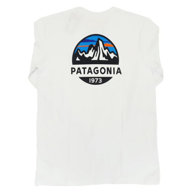 patagonia ロンT LONG-SLEEVED FITZ ホワイト XL