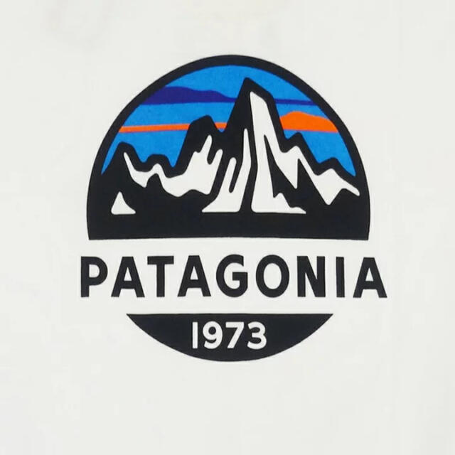 patagonia ロンT LONG-SLEEVED FITZ ホワイト XL