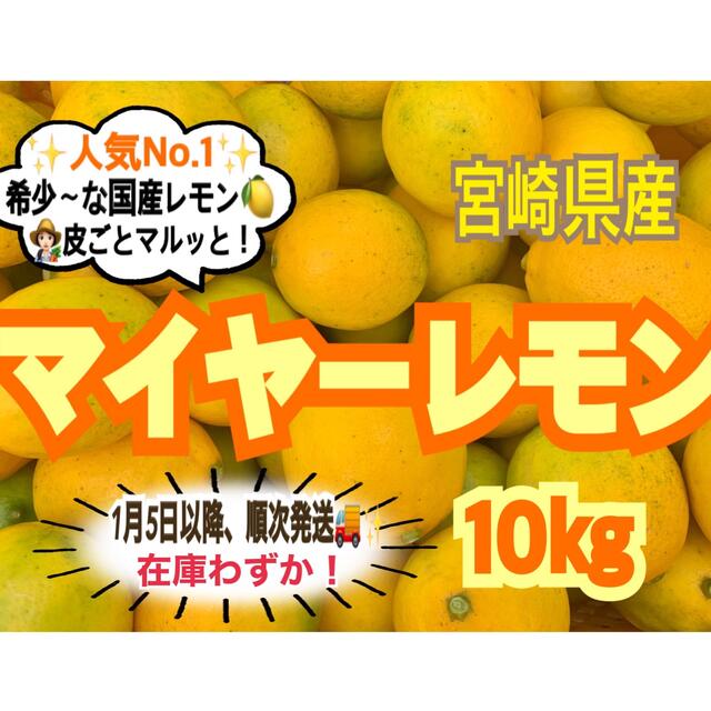 【在庫わずか❣️】マイヤーレモン10㎏/レモン　国産レモン　みかん　きんかん　 食品/飲料/酒の食品(フルーツ)の商品写真