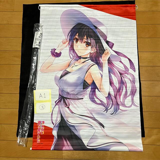 100%安い 冴えない彼女の育てかた 冴えかの 霞ヶ丘詩羽 b2