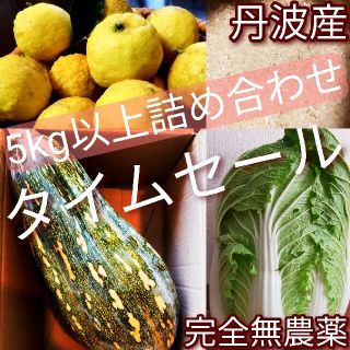 安心安全　完全無農薬　丹波産　こだわり　新鮮　味が濃い　米　果物　野菜詰め合わせ(野菜)