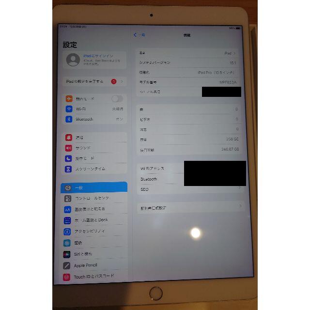 iPad Pro 10.5インチ 2017年Wi-Fiモデル256GB＋おまけ 5