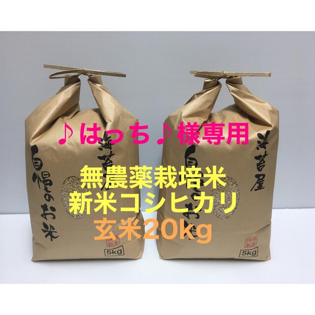 新商品のご紹介 ♪はっち♪様専用 新米 無農薬コシヒカリ玄米20kg(5kg