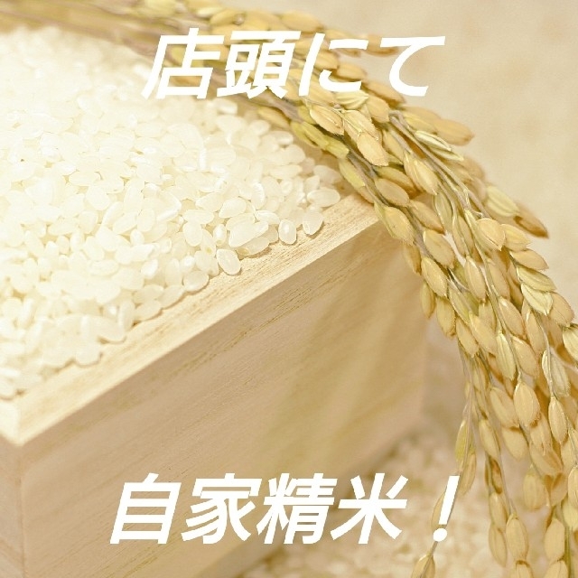 米ぬか 600g【米屋が自家精米して作った新鮮米ぬか】 食品/飲料/酒の食品(米/穀物)の商品写真