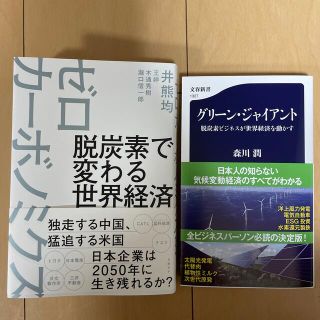 脱炭素で変わる世界経済ゼロカーボノミクス　グリーン・ジャイアント 脱炭素ビジネス(ビジネス/経済)