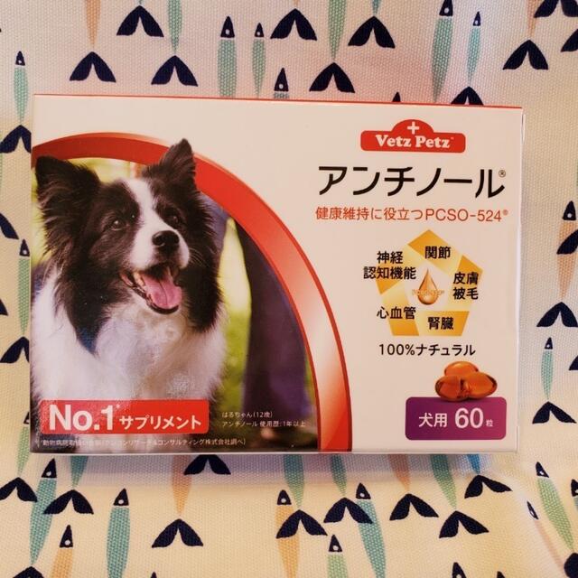 アンチノール　犬用　60粒　1箱