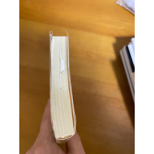 ジェリーフィッシュは凍らない エンタメ/ホビーの本(文学/小説)の商品写真