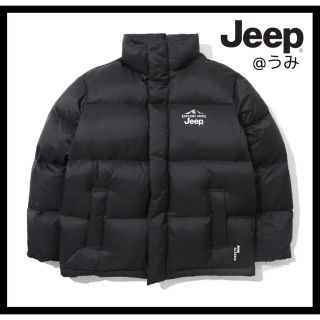 ザノースフェイス(THE NORTH FACE)の【新品未使用タグ付】jeep ダウンジャケット(ダウンジャケット)