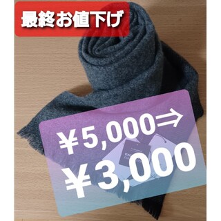 プラステ(PLST)の【冬物最終お値下げ】新品 PLST SHA カシミヤ 100％ マフラー(マフラー/ショール)