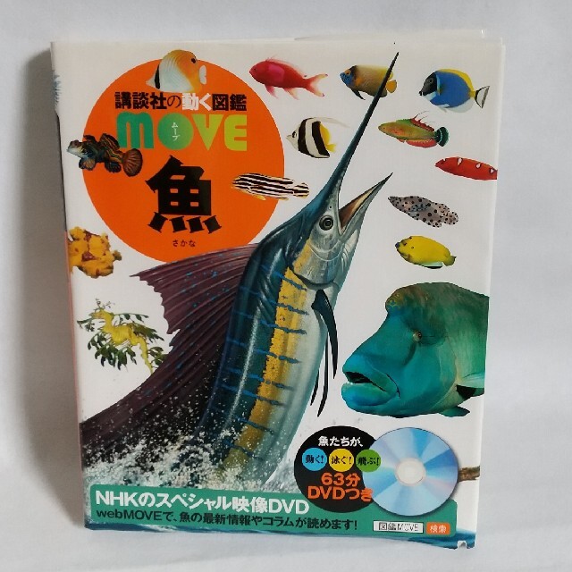 講談社(コウダンシャ)の魚 エンタメ/ホビーの本(絵本/児童書)の商品写真