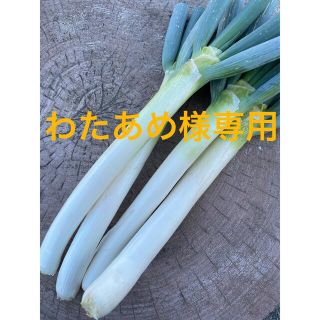 わたあめ様専用。100サイズ(野菜)