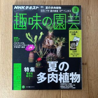 NHK 趣味の園芸 2018年 08月号(その他)