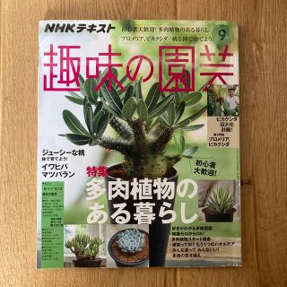 NHK 趣味の園芸 2019年 09月号(その他)