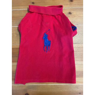 ポロラルフローレン 犬の通販 22点 | POLO RALPH LAURENのその他を買う