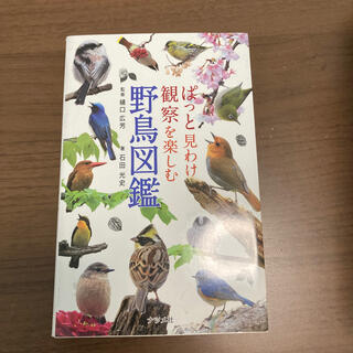 ぱっと見わけ観察を楽しむ野鳥図鑑(趣味/スポーツ/実用)