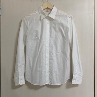 スーツカンパニー(THE SUIT COMPANY)のシャツ　レディース(スーツ)