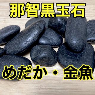 三重県熊野産 那智黒玉石 3kg アクアリウム 金魚 めだか 熱帯魚 焼き石(アクアリウム)