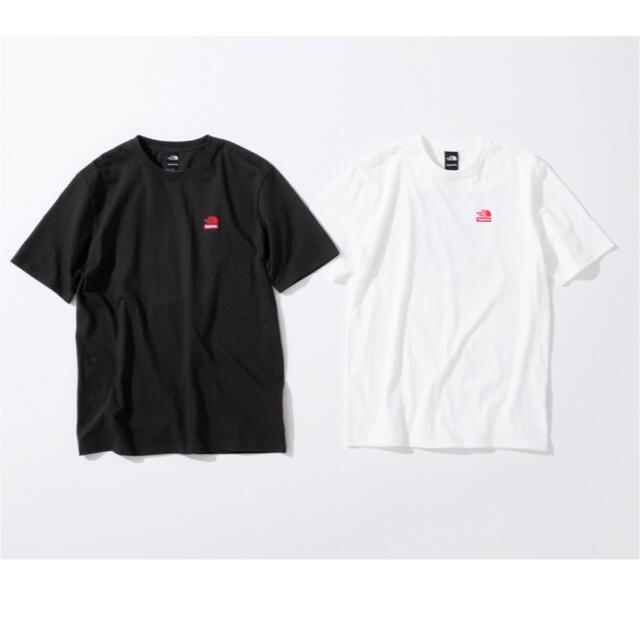 メンズsupreme north face statue of liberty t L