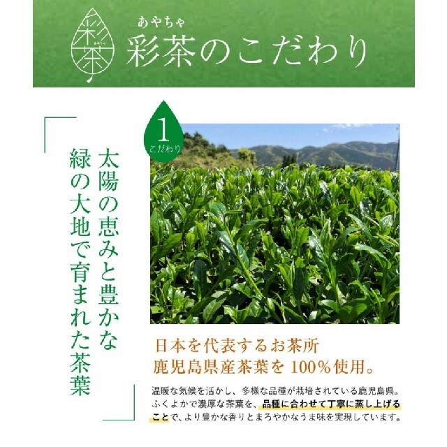 緑茶 彩茶-あやちゃ- お茶 500ml×24本 鹿児島県産茶葉使用 送料無料 食品/飲料/酒の飲料(茶)の商品写真