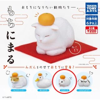 タカラトミーアーツ(T-ARTS)の【値下げ】もちにまる　ガチャ　モルモット　もるもっち(その他)