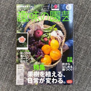 NHK 趣味の園芸 2021年 11月号(その他)