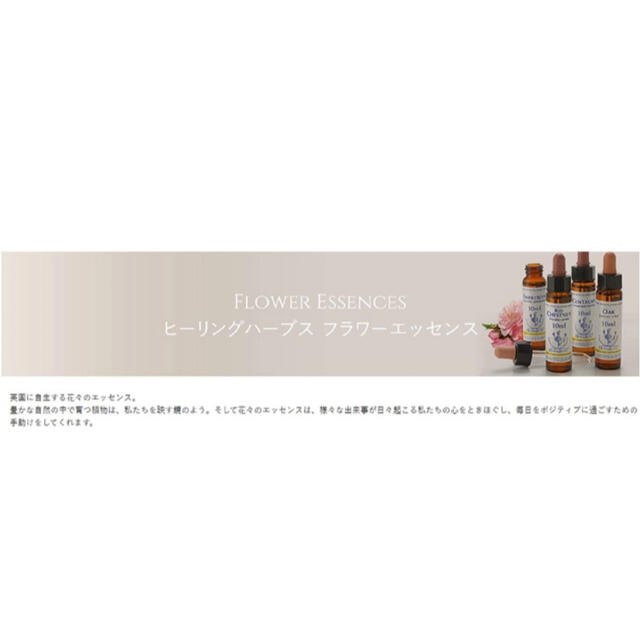 NEAL'S YARD(ニールズヤード)のフラワーエッセンスウォルナット　10ml コスメ/美容のリラクゼーション(その他)の商品写真