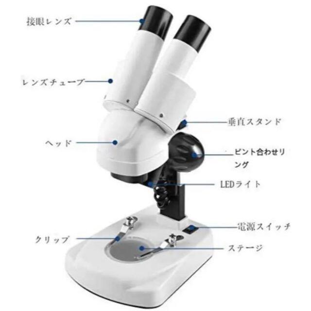 SOLOMARK Portable Stereo Microscope-20X-40X Lab LED Binocular