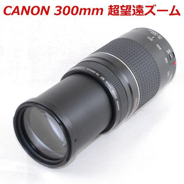 Canon - ★ド迫力！大人気の超望遠ズーム♪★CANON 75-300mm Ⅲ USM