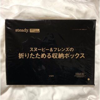 スヌーピー(SNOOPY)の［専用］steady. 10月号付録スヌーピー&フレンズの収納ボックス(小物入れ)