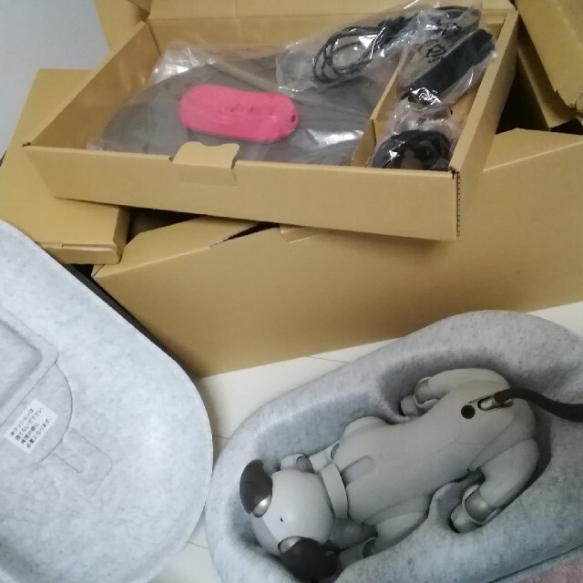 SONY AIBO アイボ ERS-1000 エンタテイメントロボット