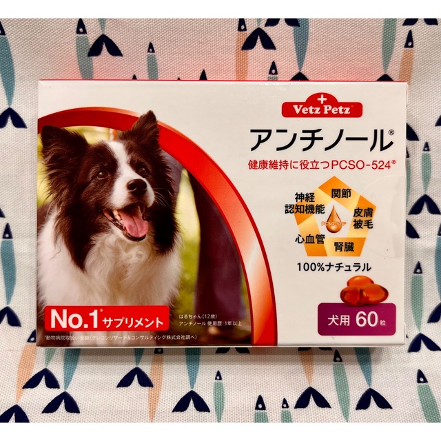 アンチノール　犬用　60粒　1箱